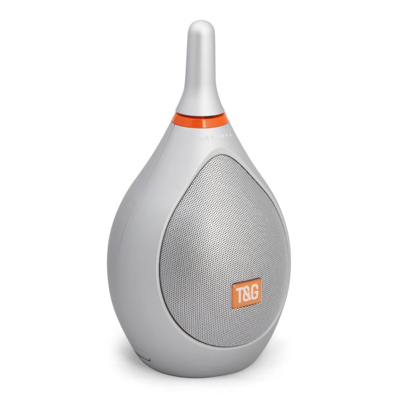 Колонка беспроводная Bluetooth T&G Bowling ZL05 (серебряная)