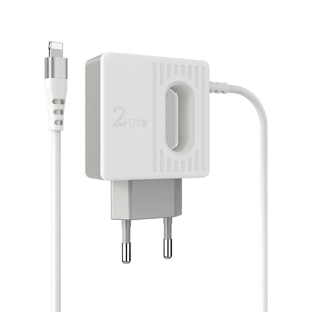 СЗУ BOROFONE BA34 Power Essence 2xUSB, 2.4А, интегрированный кабель Lightning 8-pin, 1м (белый)