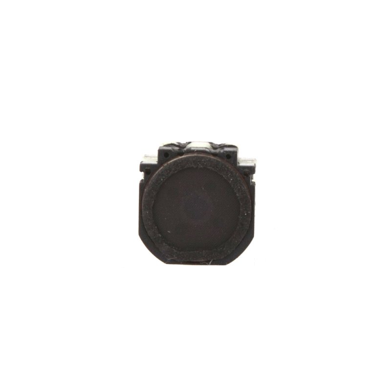 Динамик и звонок SonyEricsson W890