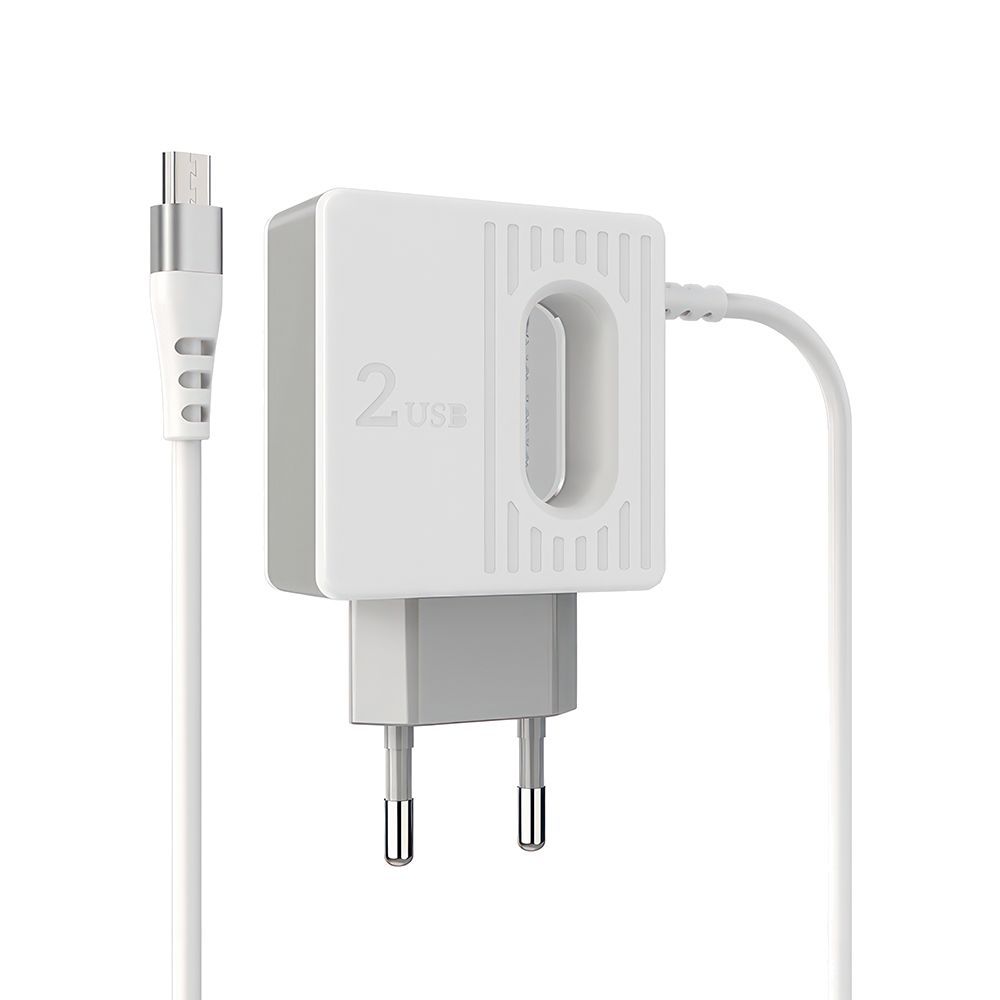 СЗУ BOROFONE BA34 Power Essence 2xUSB, 2.4А, интегрированный кабель MicroUSB, 1м (белый)