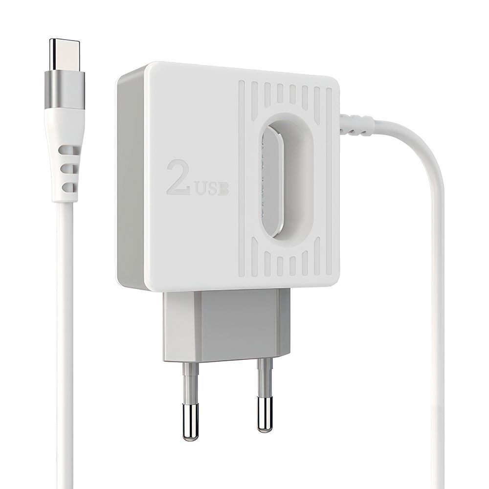СЗУ BOROFONE BA34 Power Essence 2xUSB, 2.4А, интегрированный кабель Type-C, 1м (белый)