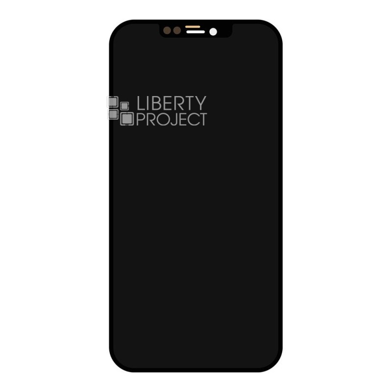 LCD дисплей для Apple iPhone 11 (черный) матрица ZY In-Cell A-SI FHD — фото 6